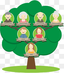 رسم شجرة العائلة للاطفال