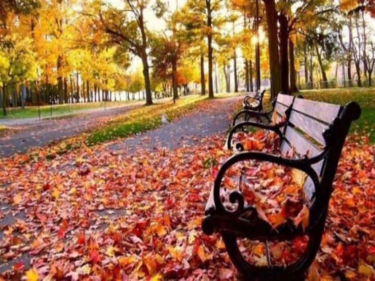صور فصل الخريف،خلفيات مناظر طبيعيه خريفيه - صور حزينه