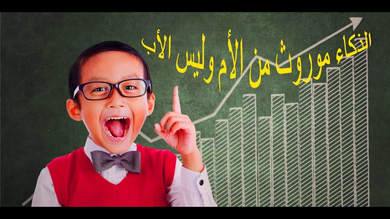 هل الذكاء وراثي - كيف ننمى الذكاء فى عقول اطفالنا 5286 3