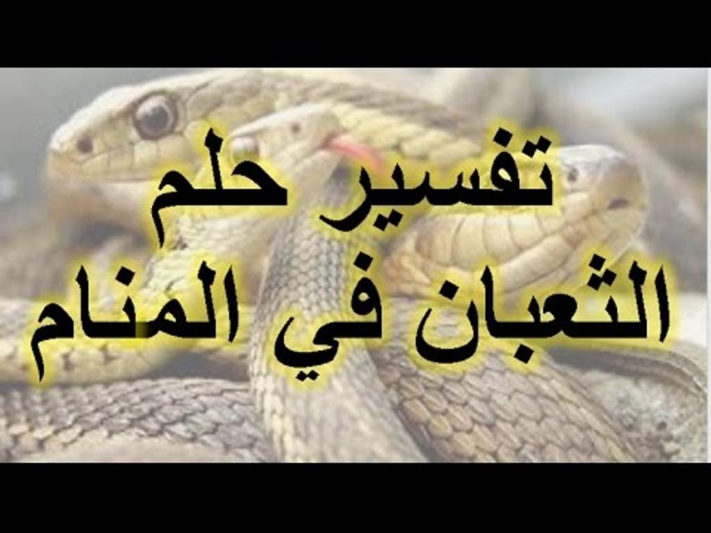 تفسير حلم بالثعبان - رؤيه الثعبان فى الحلم 7033