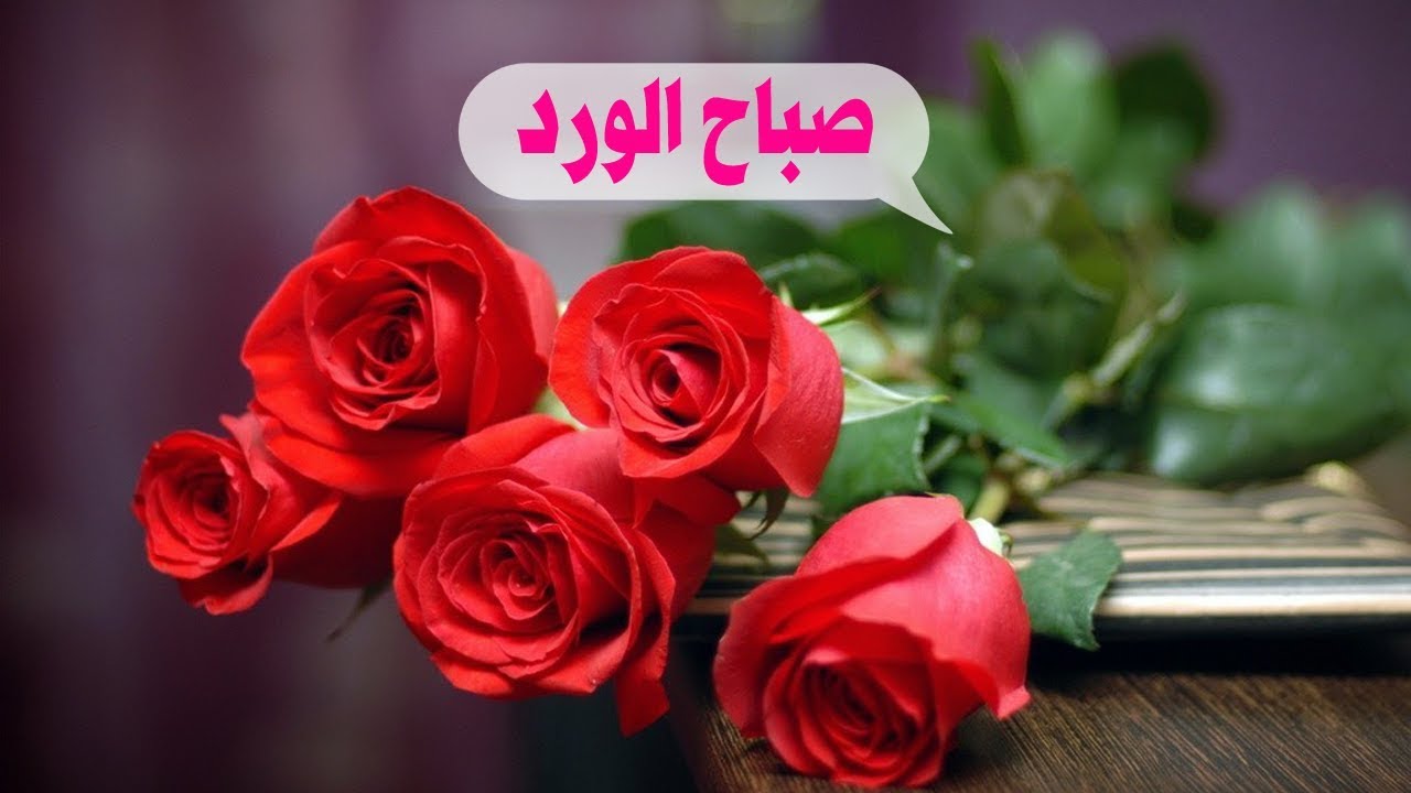 صور احلا صباح،صور صباحيه تجعل يومنا اجمل 8364 12