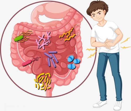 اعراض جرثومة الامعاء،اسباب و علاج جرثومه المعده 4559 1