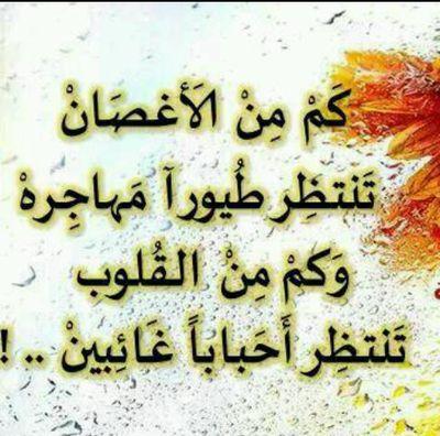 الزهور الحزينة , بكاء زهره