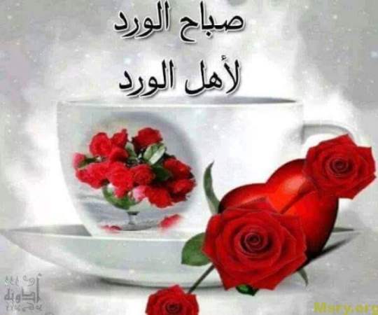 صوره ورد مكتوب عليها صباح الخير - صور لاجمل صباح بالورود 6900 10