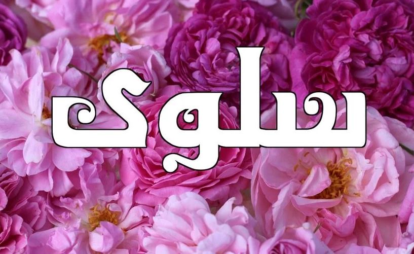 معنى اسم سلوى،صفات حامله اسم سلوي 8618 1