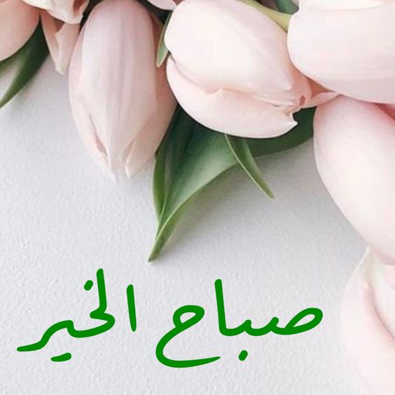 صوره ورد مكتوب عليها صباح الخير - صور لاجمل صباح بالورود 6900 9