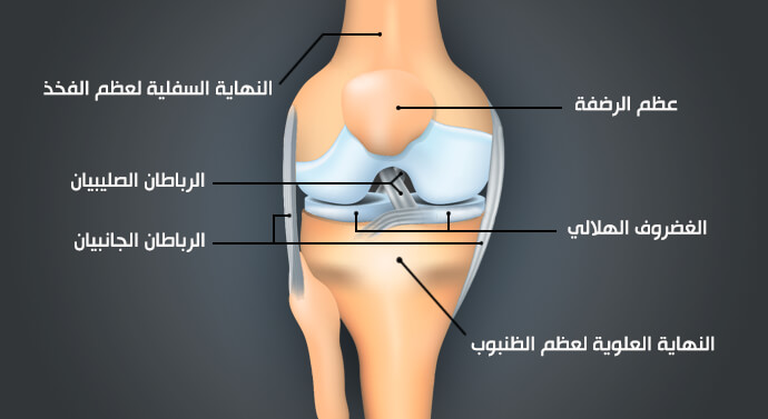 الام الركبة وعلاجها،نصائح للحفاظ علي سلامه الركبه 4673 1