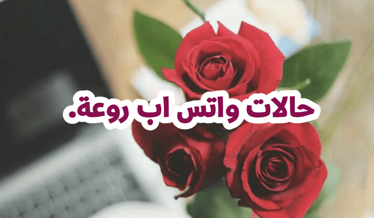 حالات واتس اب عن الدنيا , حكم ومواعظ عن الحياه