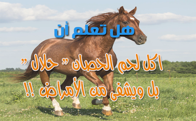 حكم اكل لحم الخيل , لحم الخيل هل هو محرم ام مسموح به 