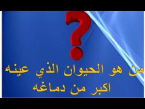 ماهو الحيوان الذي عينه اكبر من دماغه،فوازير للاذكياء فقط 8261 1