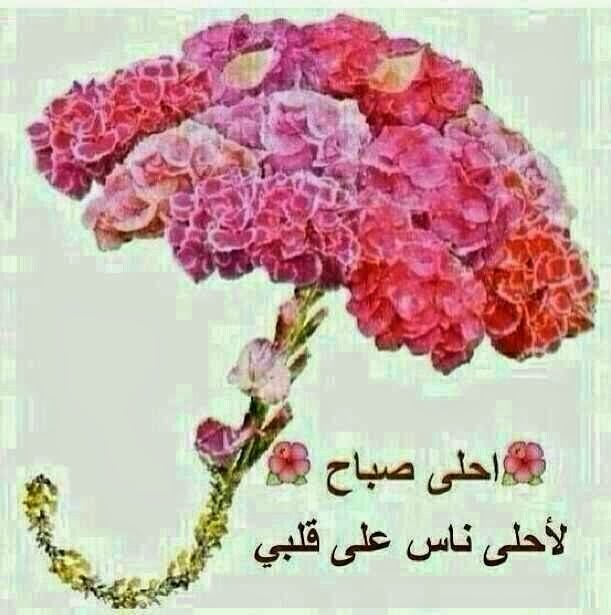 صور احلا صباح،صور صباحيه تجعل يومنا اجمل 8364 9