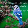 1665 8 كلام حزين مؤثر - عبارات مؤلمة تؤثر علي المشاعر الداخلية شيماء سعود