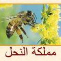 8102 4 بحث حول النحل - معلومات لم تعرفها من قبل عن النحل في بحث تعرف عليها احب تامر