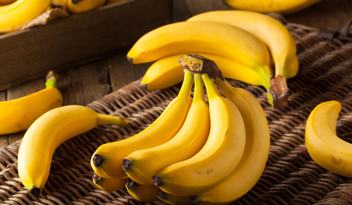5743 تفسير رؤية الموز في المنام - الموز له فوائد هامه لصحه الانسان تليد خلف