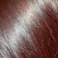 4991 4 فوائد الحنة للشعر الخفيف - خلطة الحنة لتكثيف الشعر الخفيف غدير الربيع