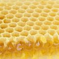 6243 4 فوائد شمع العسل للشعر - أهمية فائدة شمع العسل للشعر أيه أحمد