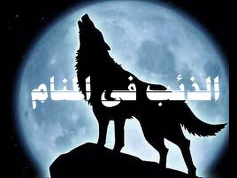 8670 3 رؤية ذئب في المنام،تفسير الذئب لابن سيرين أيه أحمد
