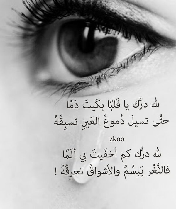 4855 7 حكم عن العيون،كلام في سحر و جاذبيه العيون أيه أحمد